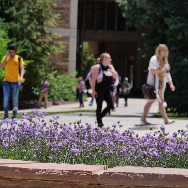 Flowers are still blooming on the first day of summer