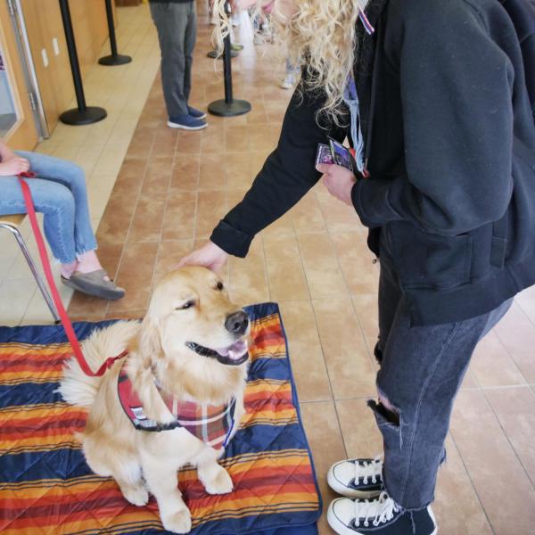 Junior Maggie Cornelius befriends therapy dog Boone