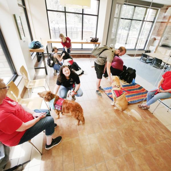 Students relieve finals stress with the help of therapy dogs