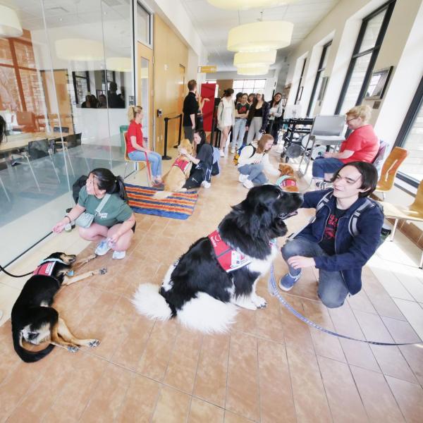 Students relieve finals stress with the help of therapy dogs