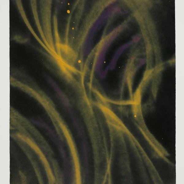 Tim Whiten, Untitled (Diptych). Colored enamel spray paint on paper.