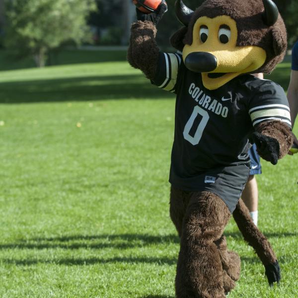Chip throws a football during summer barbecue