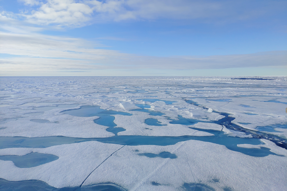 A picture of sea ice and Arc