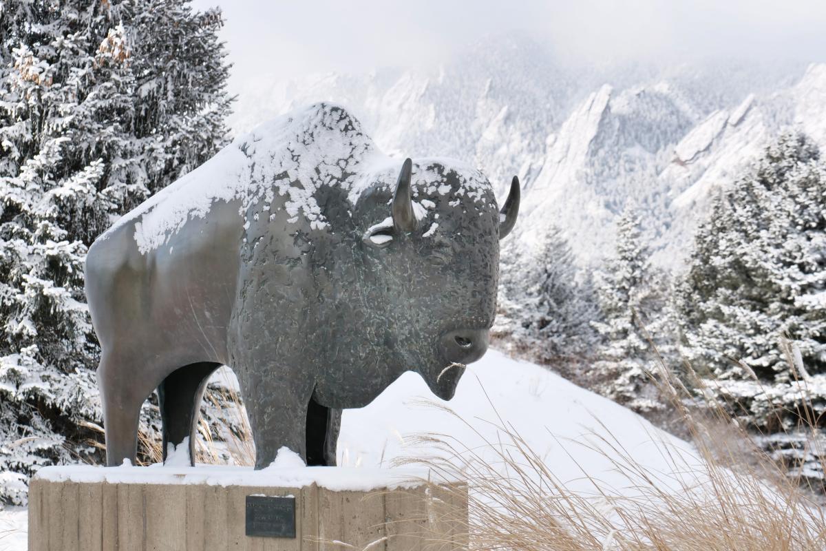 The buffalo sculpture outside the CU Events Center at the University of Colorado Boulder. (Photo by Casey A. Cass/University of Colorado)