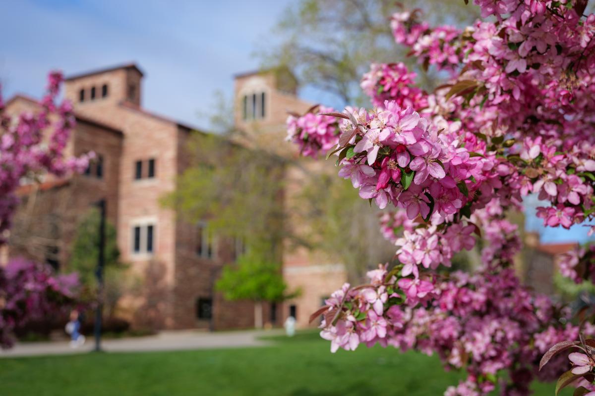 spring blooms on campus