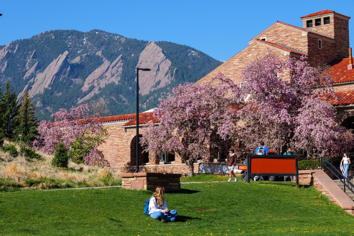 students outside on campus on a spring day