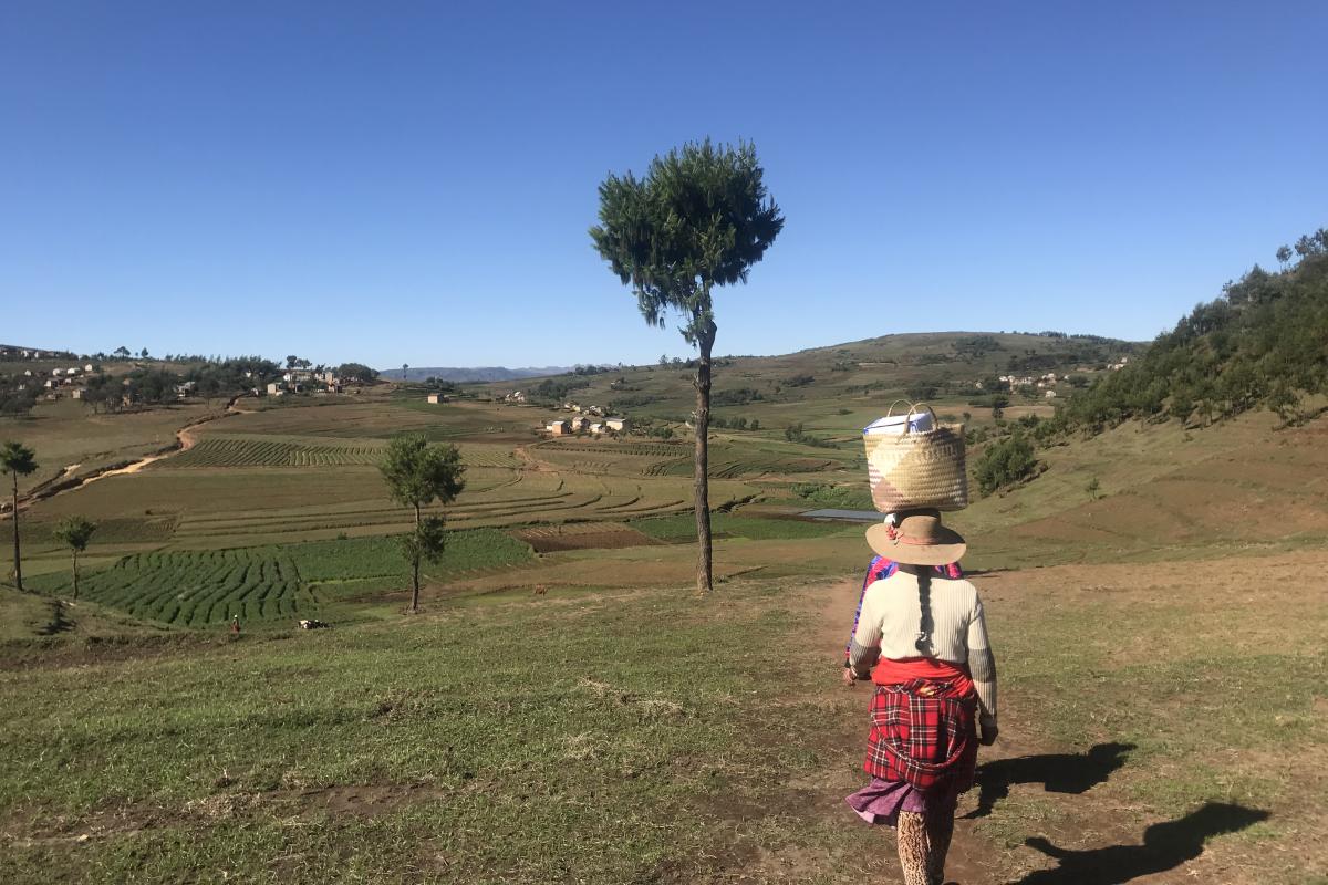 A vaccine distribution walk in Madagascar