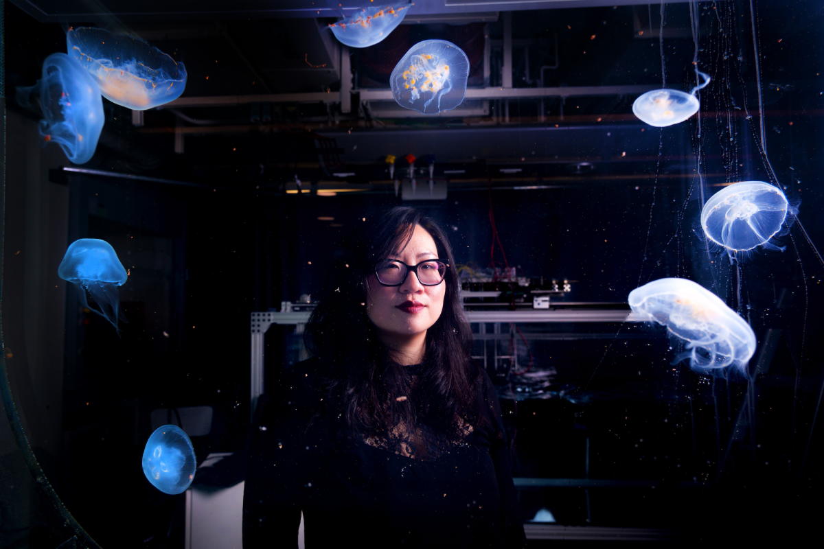 Woman with glasses stands behind aquarium with jellyfish
