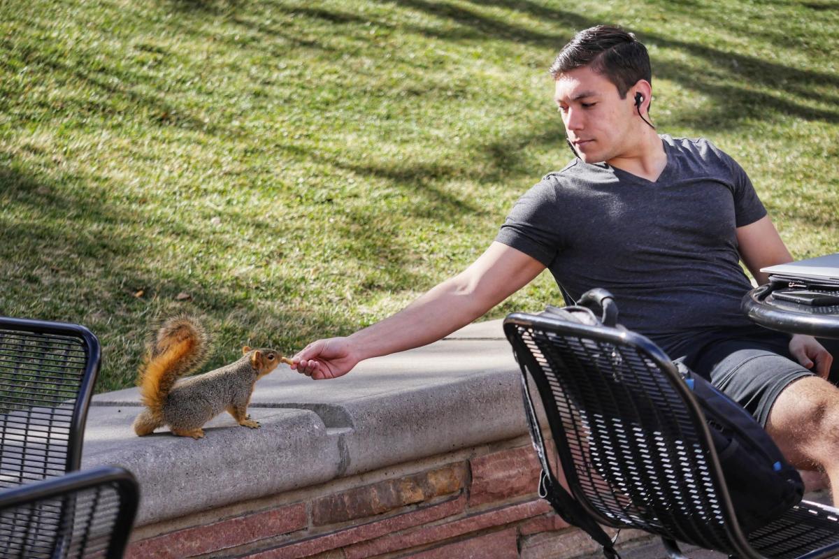 Senior Alex Elnagdy shares a peanut with a squirrel on campus. Photo by Glenn Asakawa.