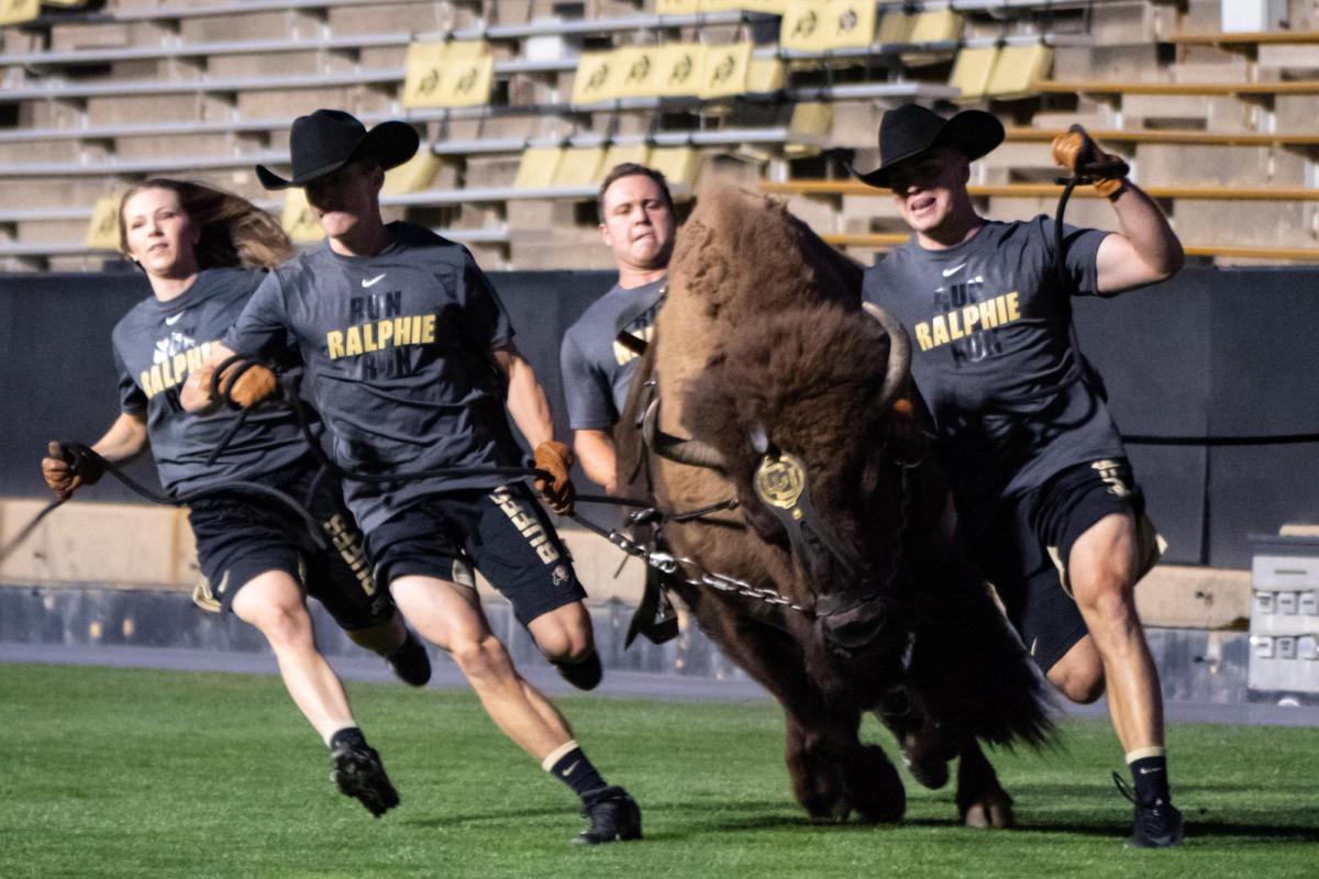 Scenes from the 2019 CU Kickoff at Folsom Field. (Photo by Glenn Asakawa/University of Colorado)