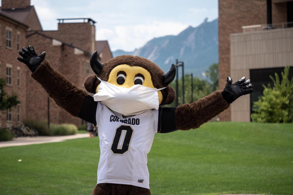 Chip the mascot wearing a mask