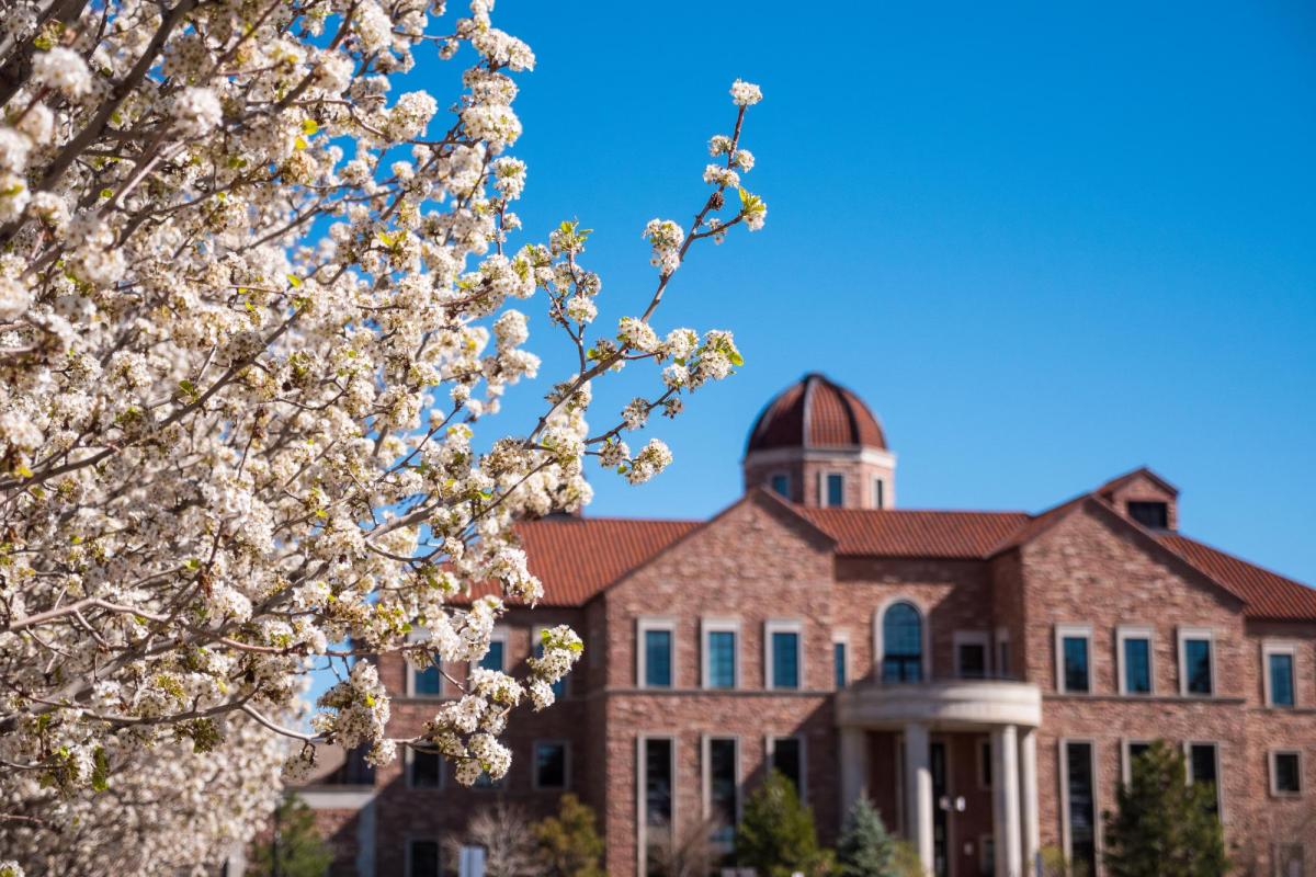 Early spring blooms on campus near the Koelbel business building