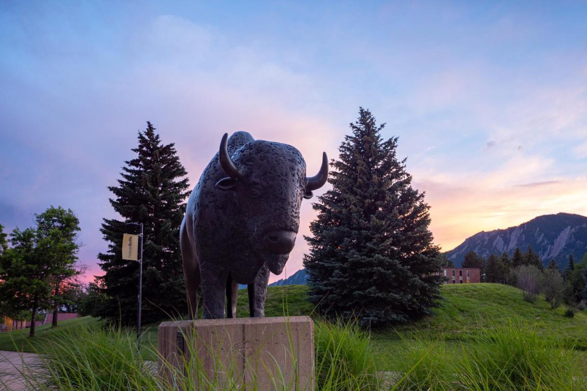An image of the Ralphie statue with the Flatirons in the background