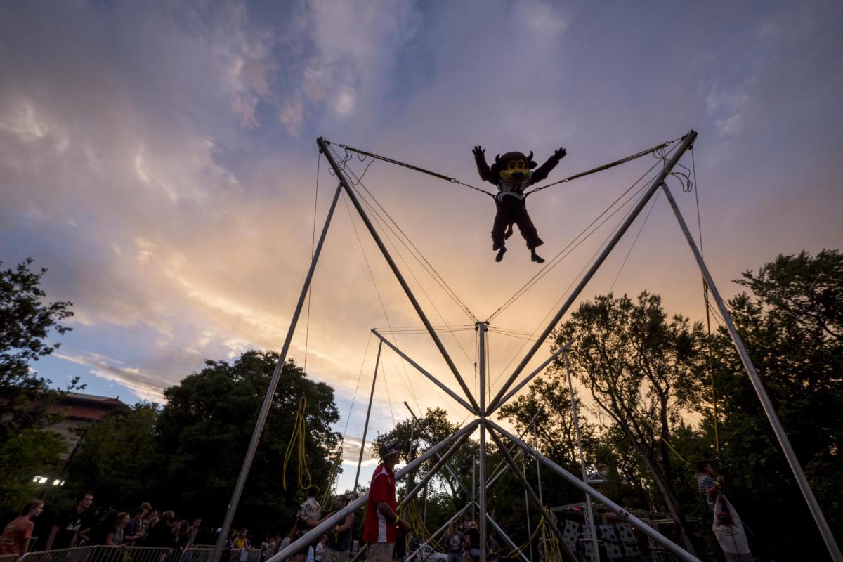 Chip takes a turn on the trampoline bungee at last year's Black & Gold Bash