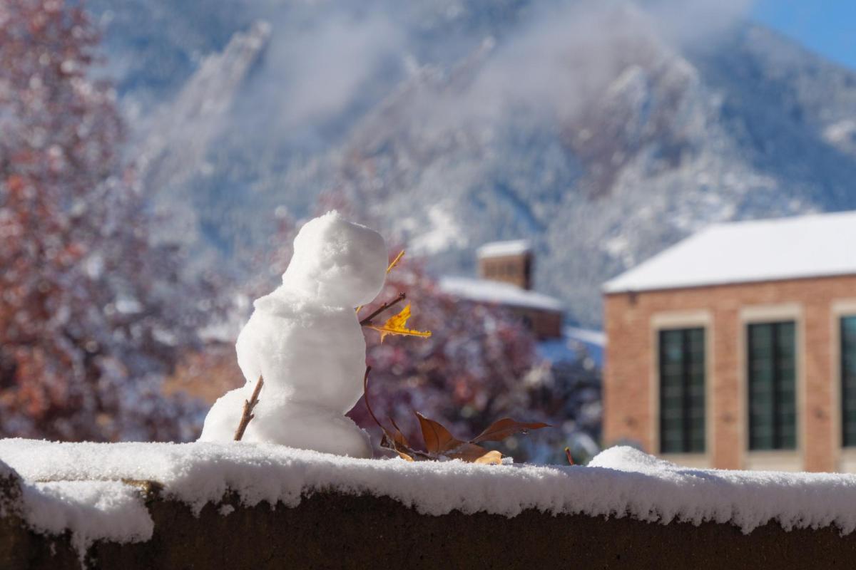 tiny snowman on campus