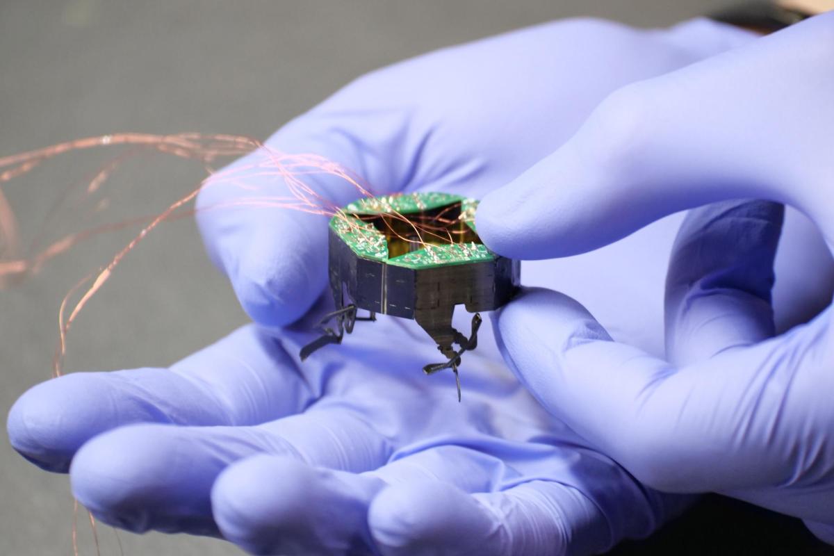 Person wearing purple gloves holding a small robot