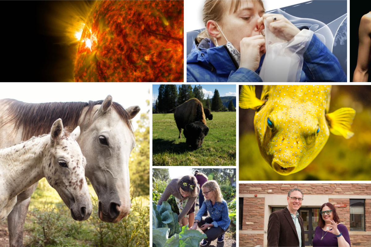 A collection of 10 CUBT research stories