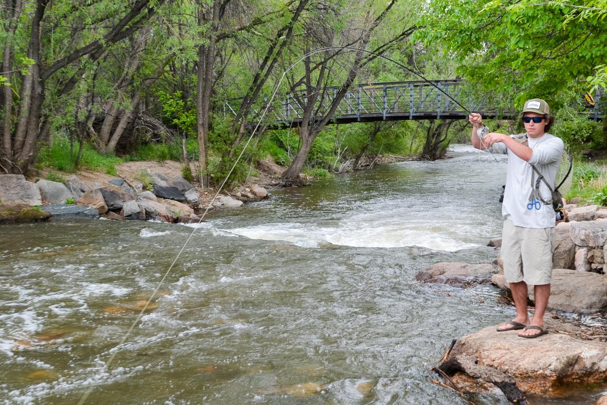 Ryan Watson fishes in Boulder Creek