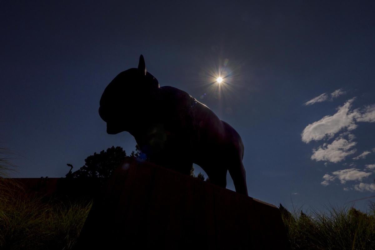 Buffalo statue with eclipsed sun behind