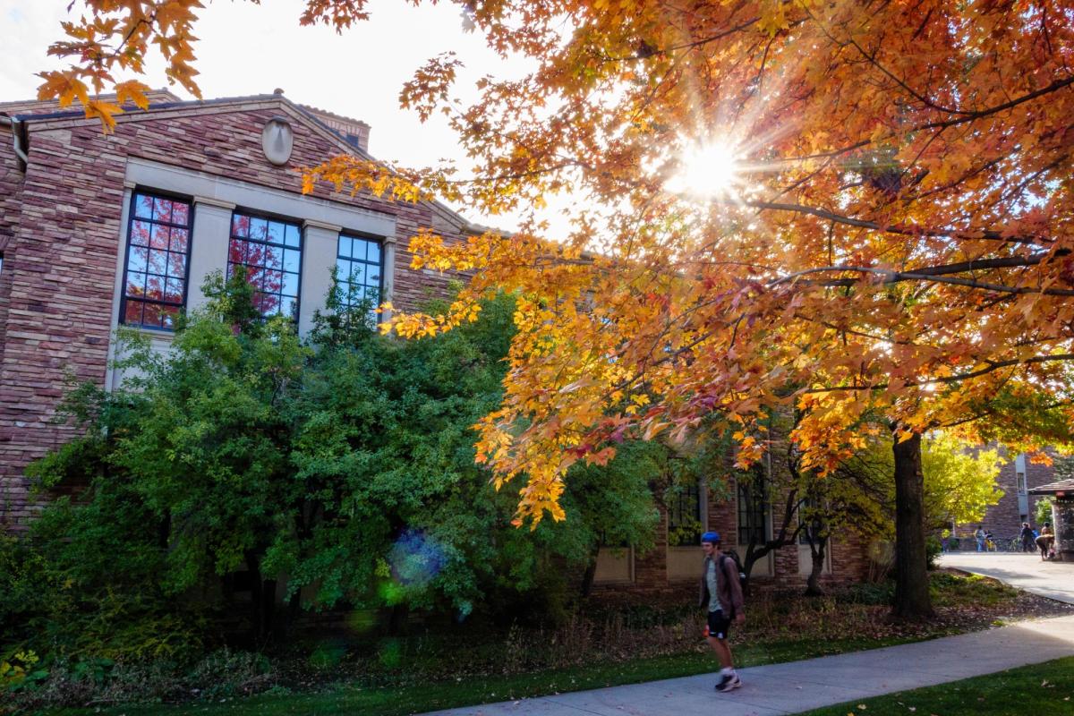 fall scenic