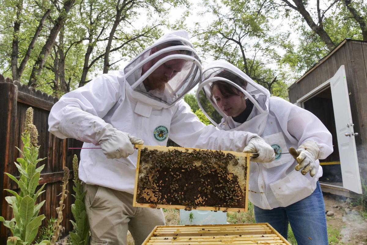 Rachael Kaspar and friend reveal the bees