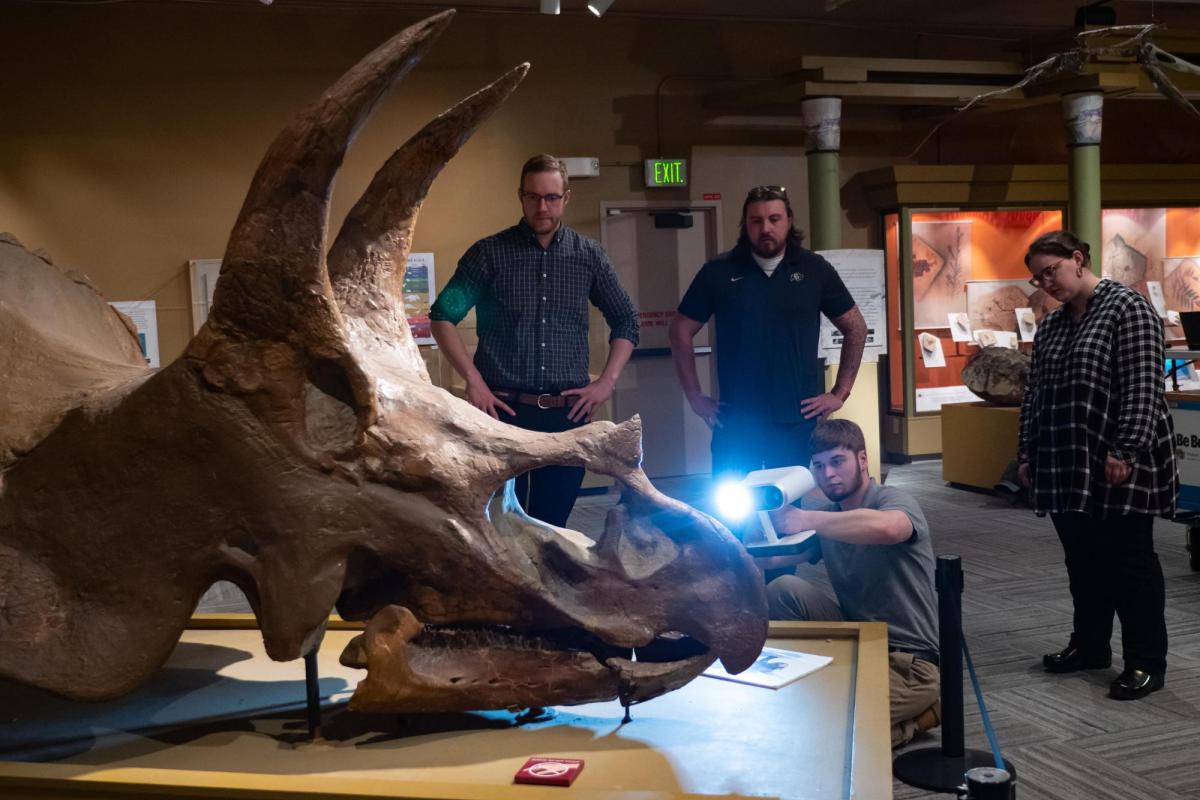 A team takes a 3D scan of a Triceratops skull on display in a museum hall