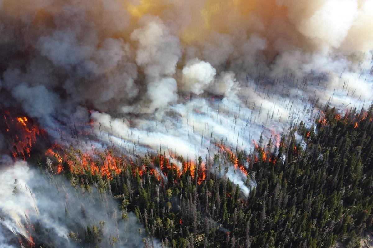 wildfire smoke