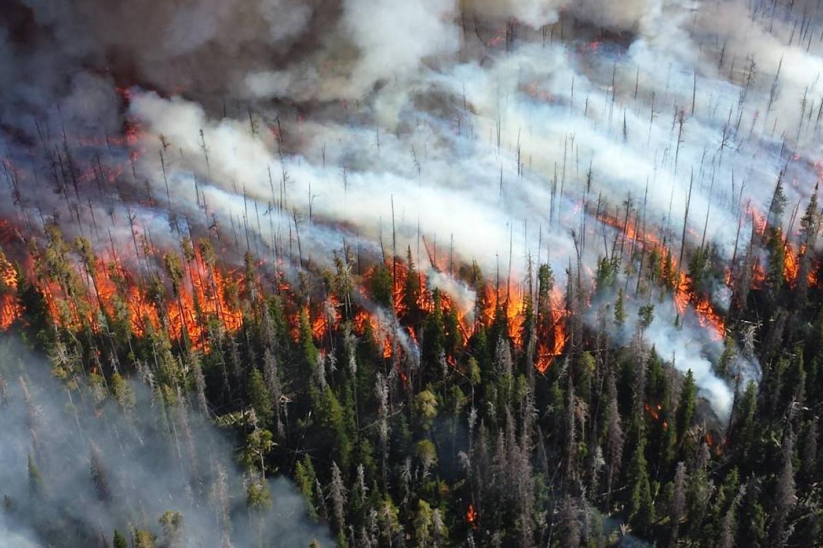 2013 Alder Fire in Yellowstone