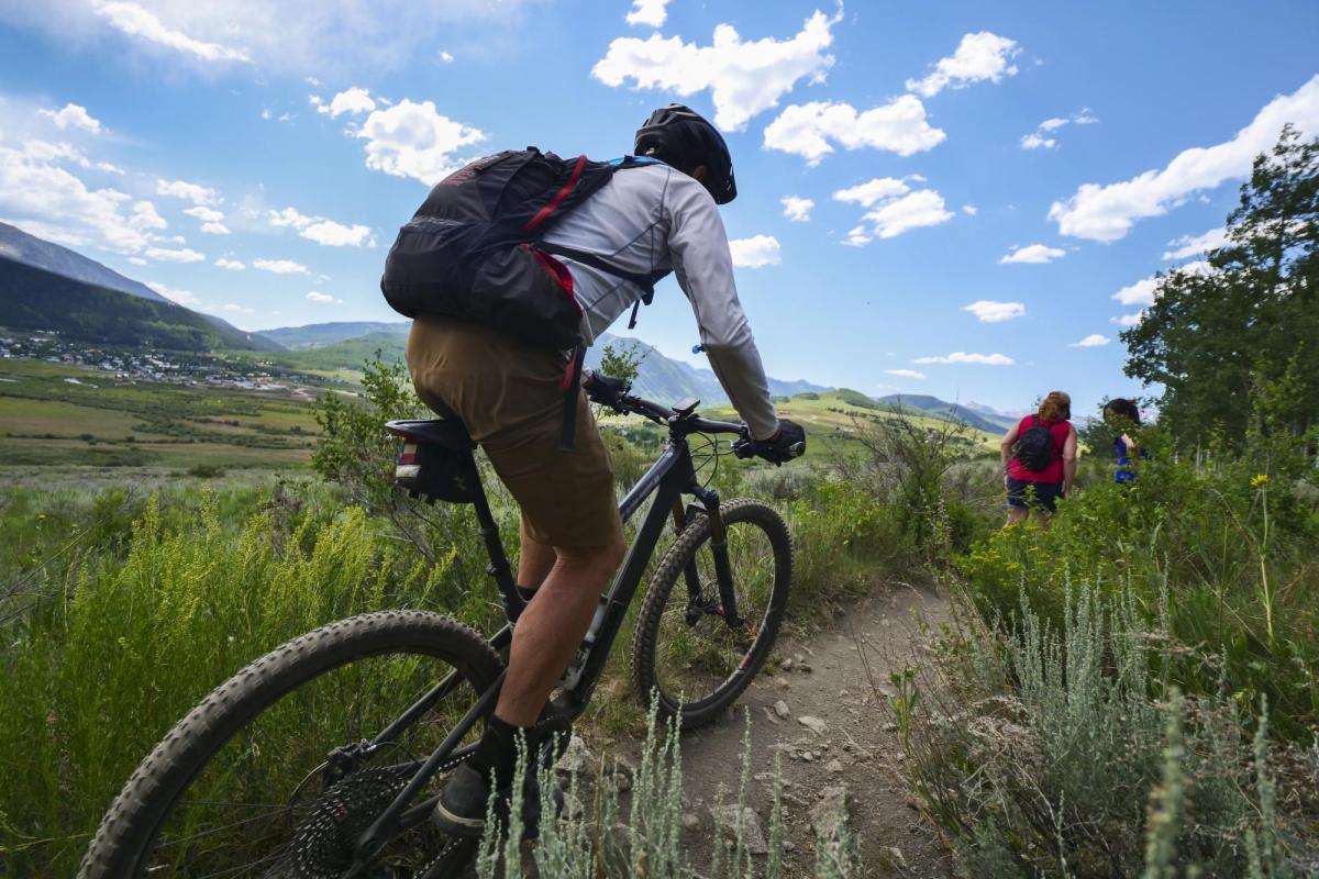 people riding bikes on trail