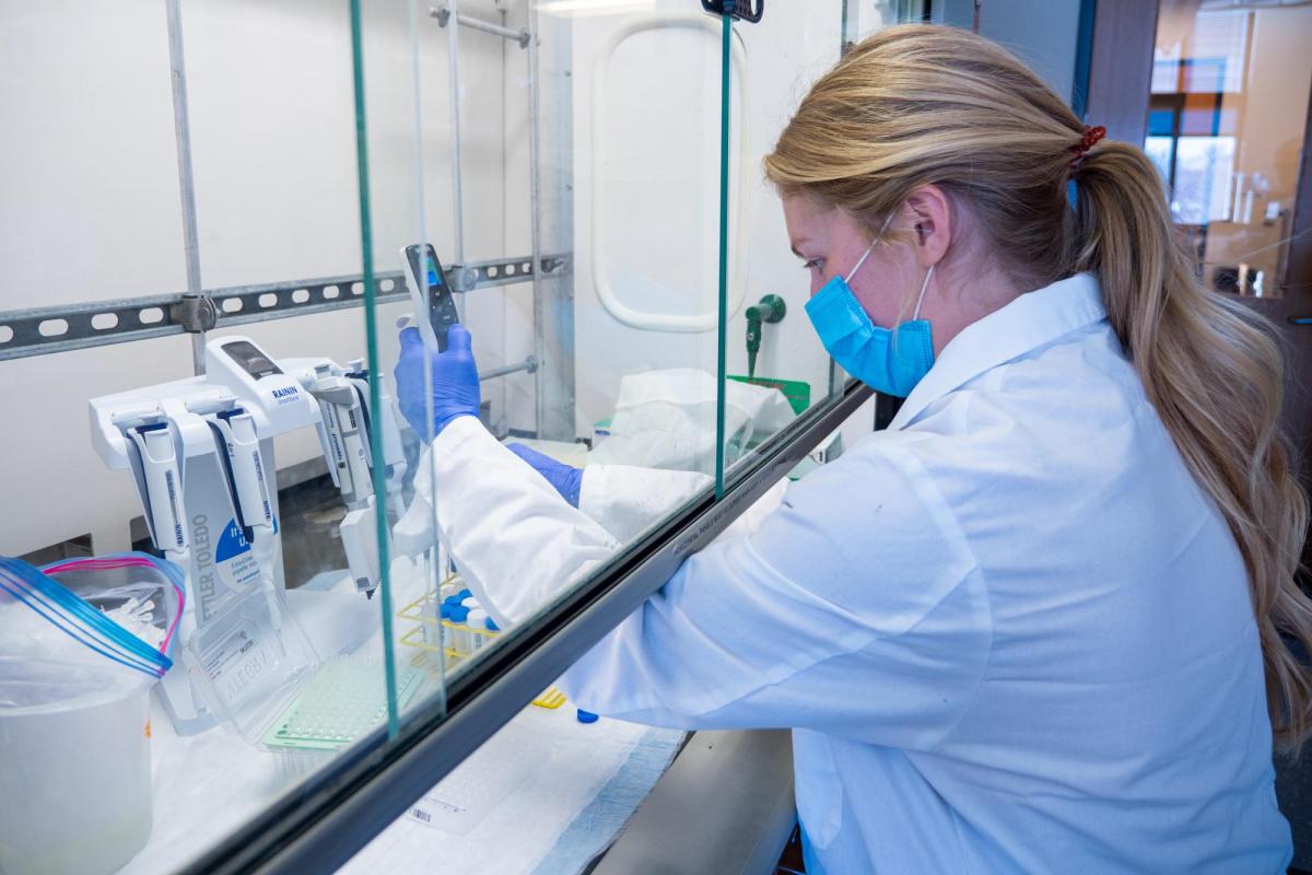 Researcher Megan Winter process samples in one of several important steps in the Biofrontiers COVID-19 surveillance laboratory that processes the saliva samples from students, staff and faculty at CU Boulder.