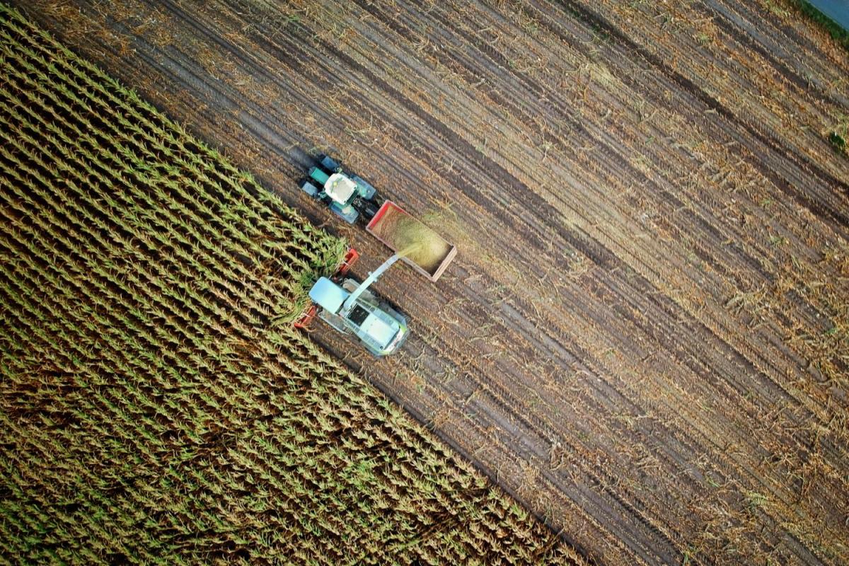 truck yielding crops