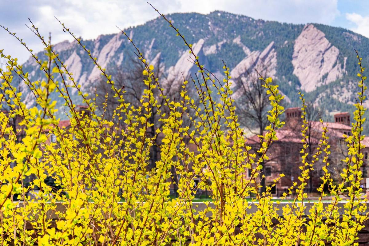 2021 spring scenic photos on the CU Boulder campus.