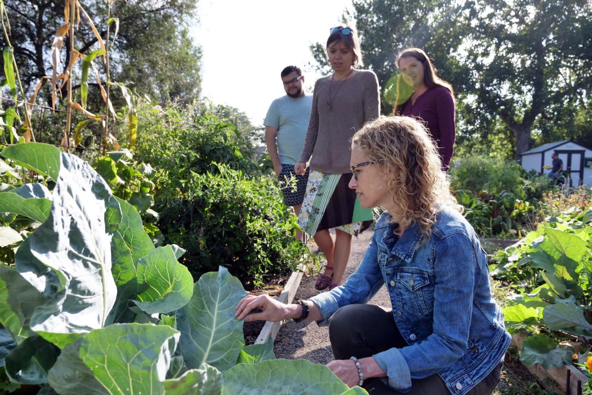Jill Litt checks on a community garden next to Regis University