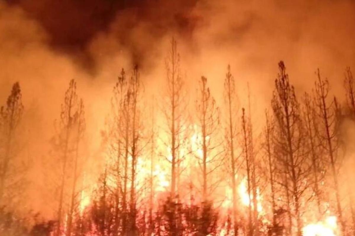 2013 Rim Fire in the Stanislaus National Forest near California