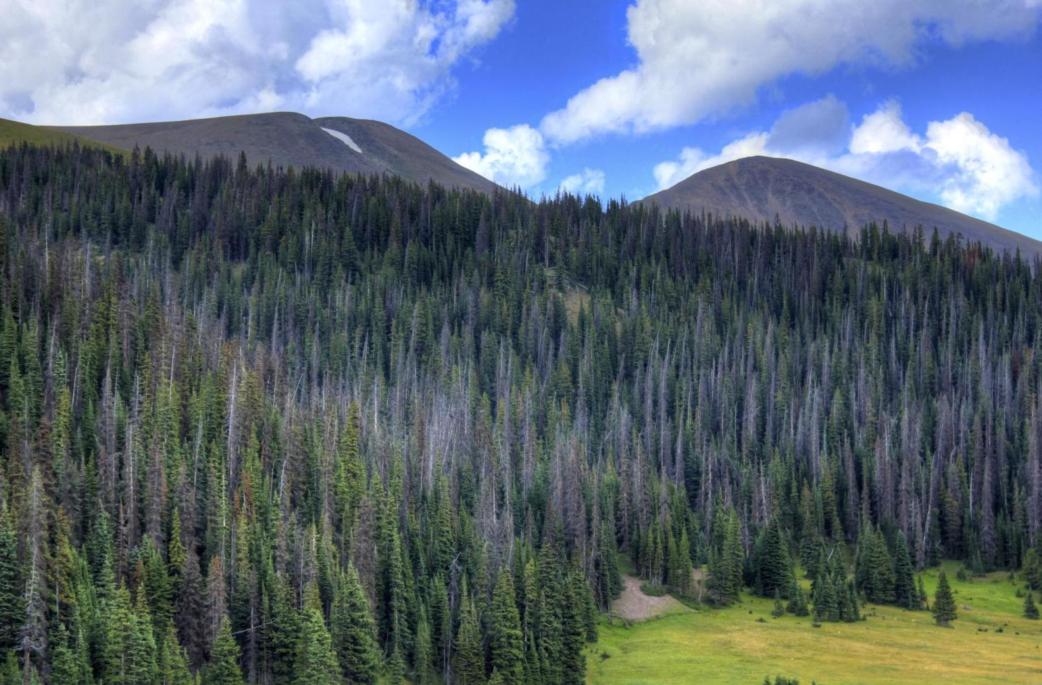 Rocky Mountain National Park