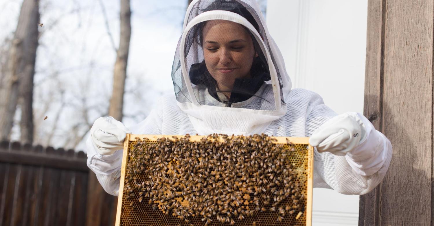 Orit Peleg in a protective suit holds up a tray of bees