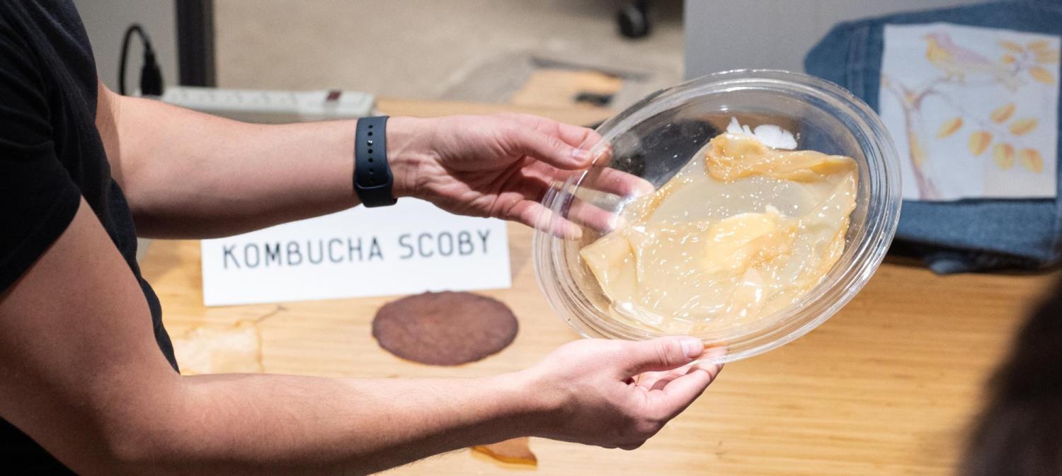 Person holds up plate with slimy kombucha SCOBY