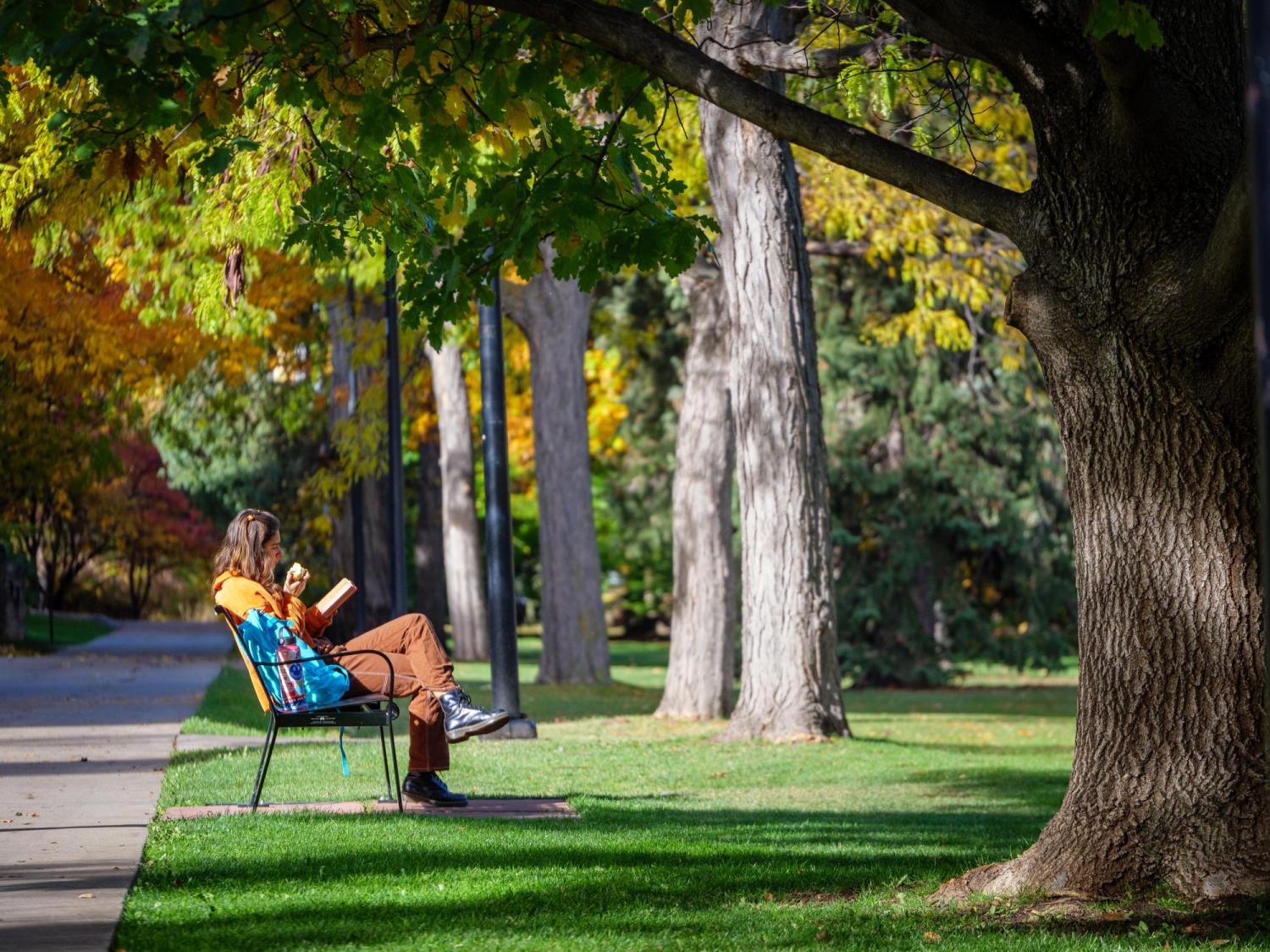 student reading on campus