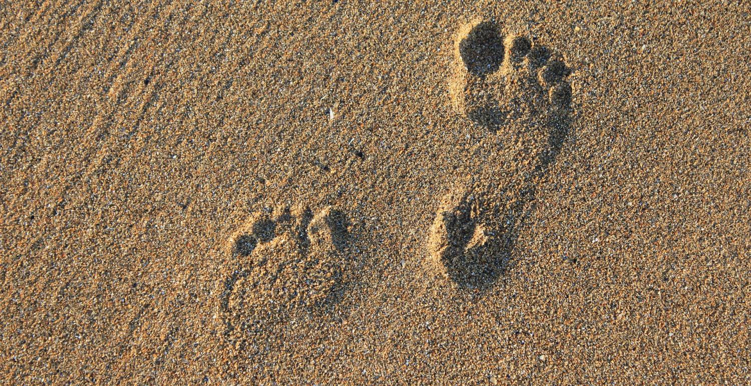 Footprints in the sand