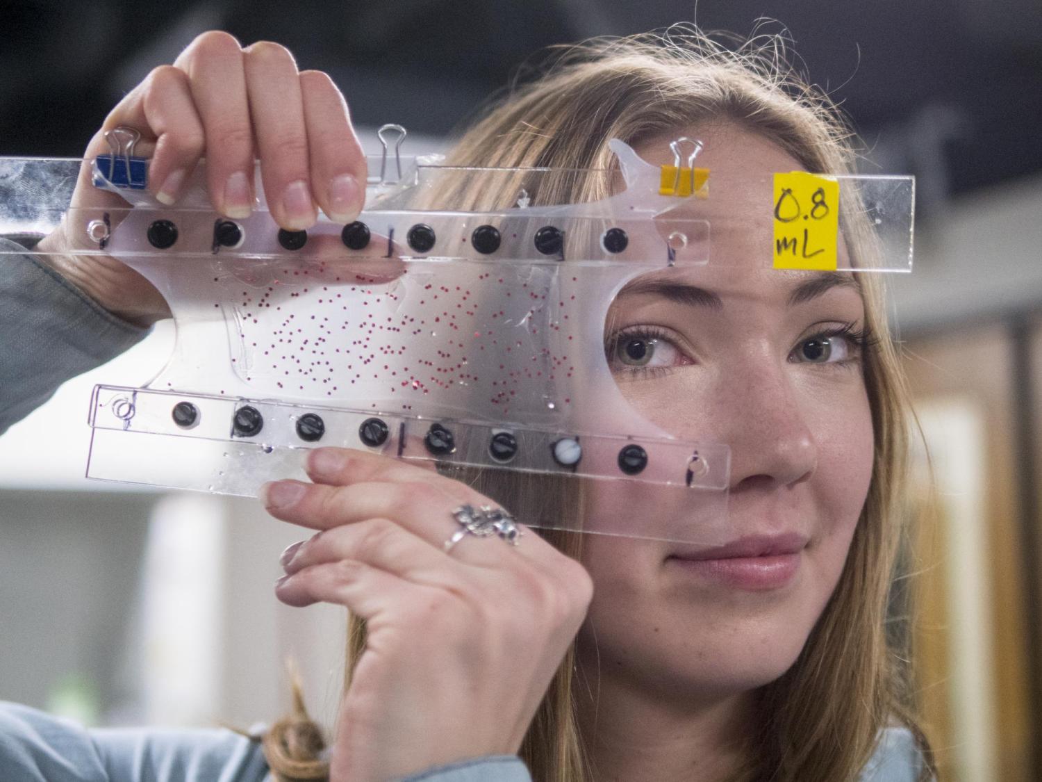 Undergraduate mechanical engineering major Madeline King stretches a sample of rubberized "muscle" or soft robot material in the Keplinger Research Lab.   Members of the Keplinger Research Group of mechanical engineering students at CU Boulder showcase their research into soft robots or artificial muscle at their lab at CU Boulder Engineering Center..