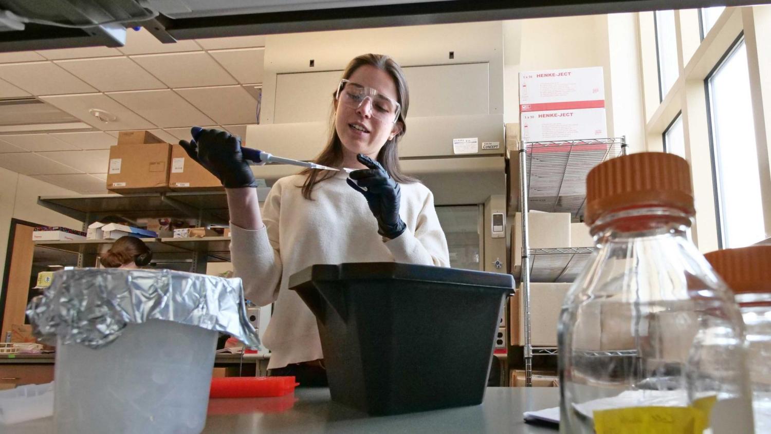 Irene Francino Urdaniz works on her spike protein research at the University of Colorado Boulder. 