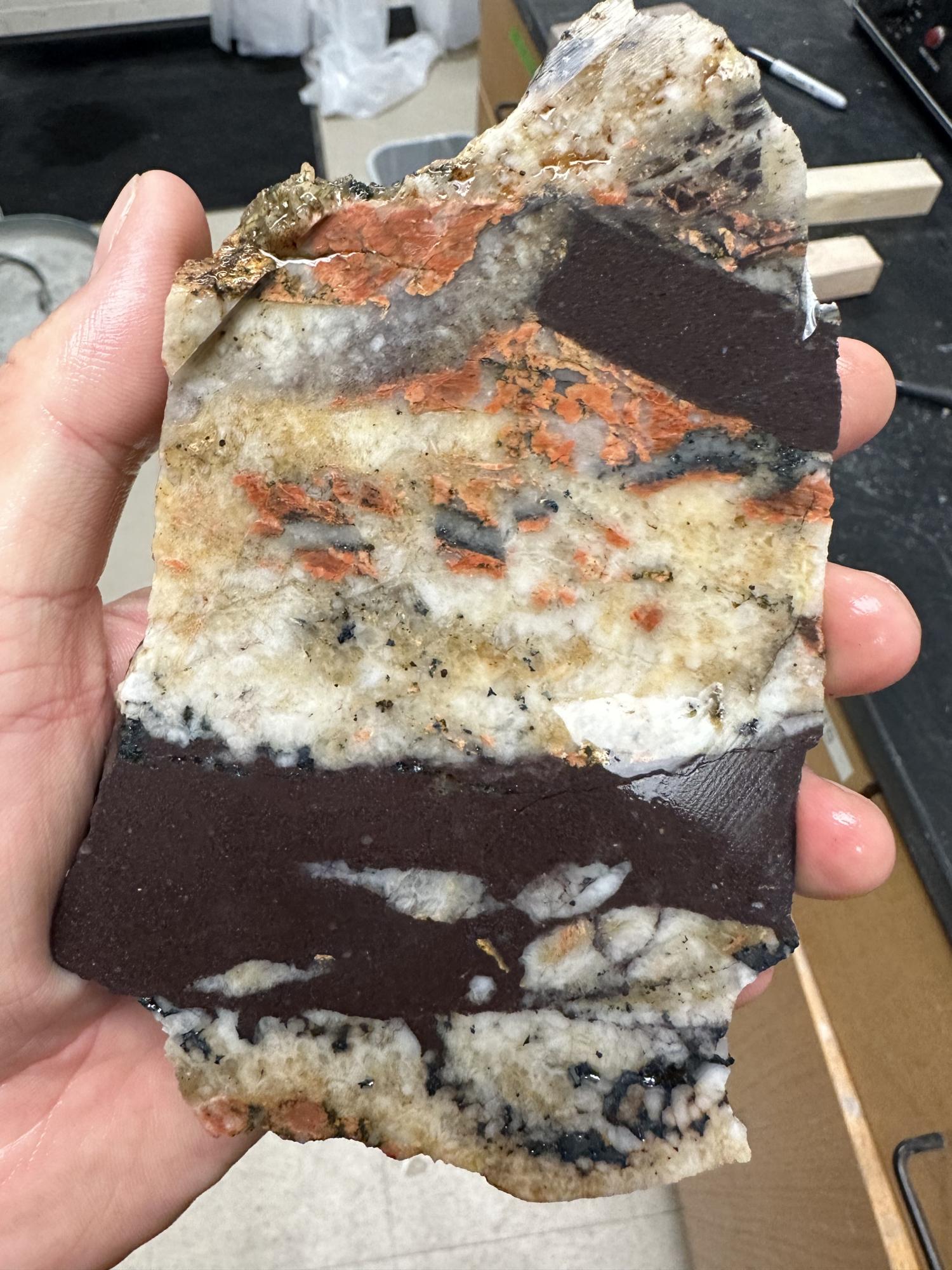 Hand holds a chunk of polished rock in multiple colors