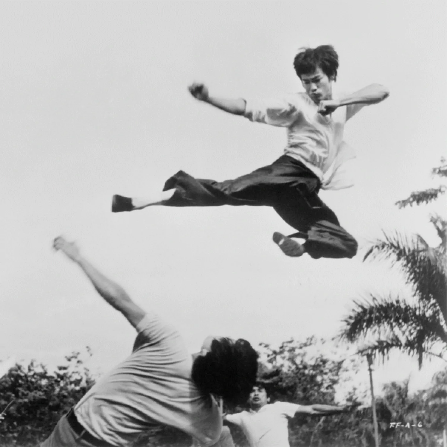 Bruce Lee