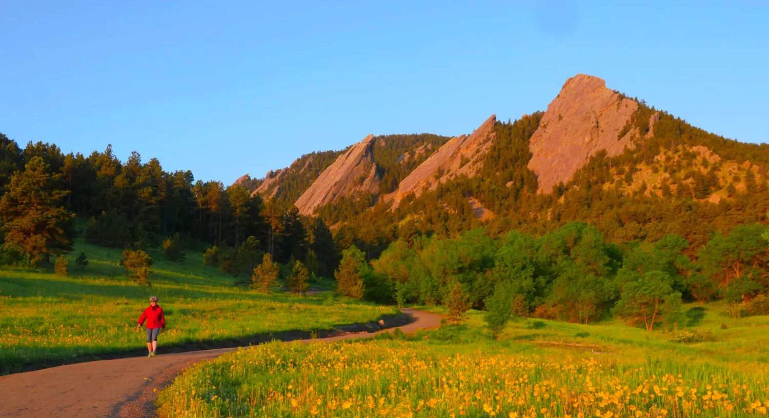 Person hiking at sunrise in Chautauqua Park in Boulder, Colorado