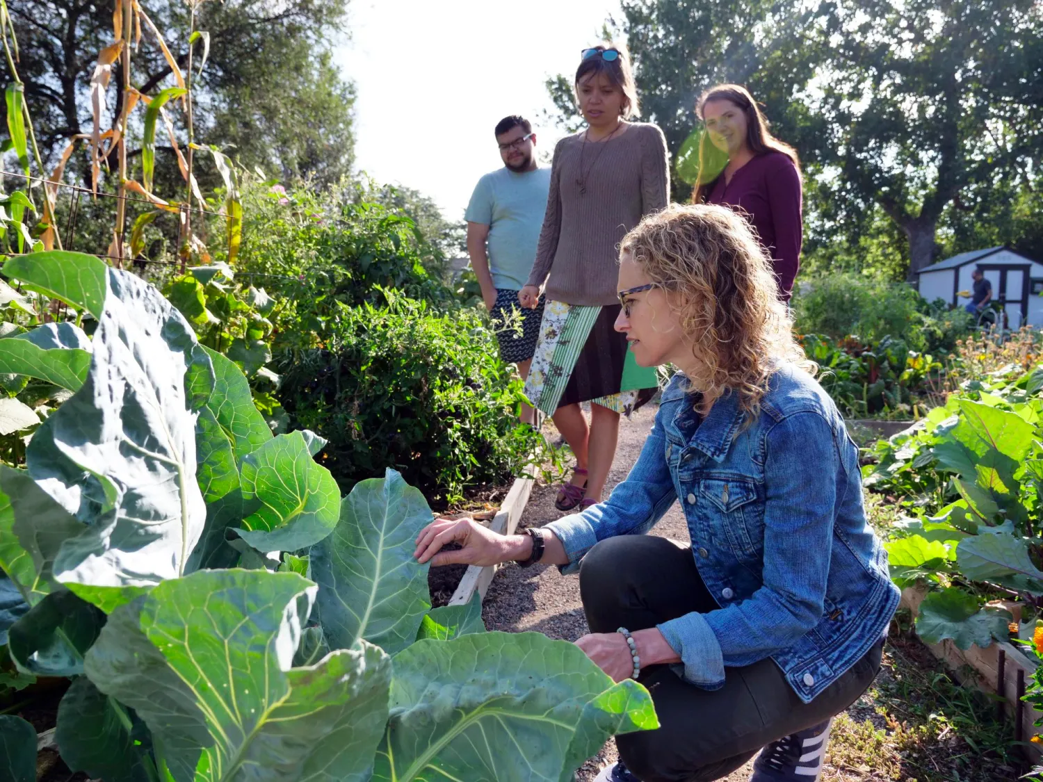 Professor Jill Litt checks on a plant with colleagues Evan Coringrato, Erin Decker and Angel Villalobos