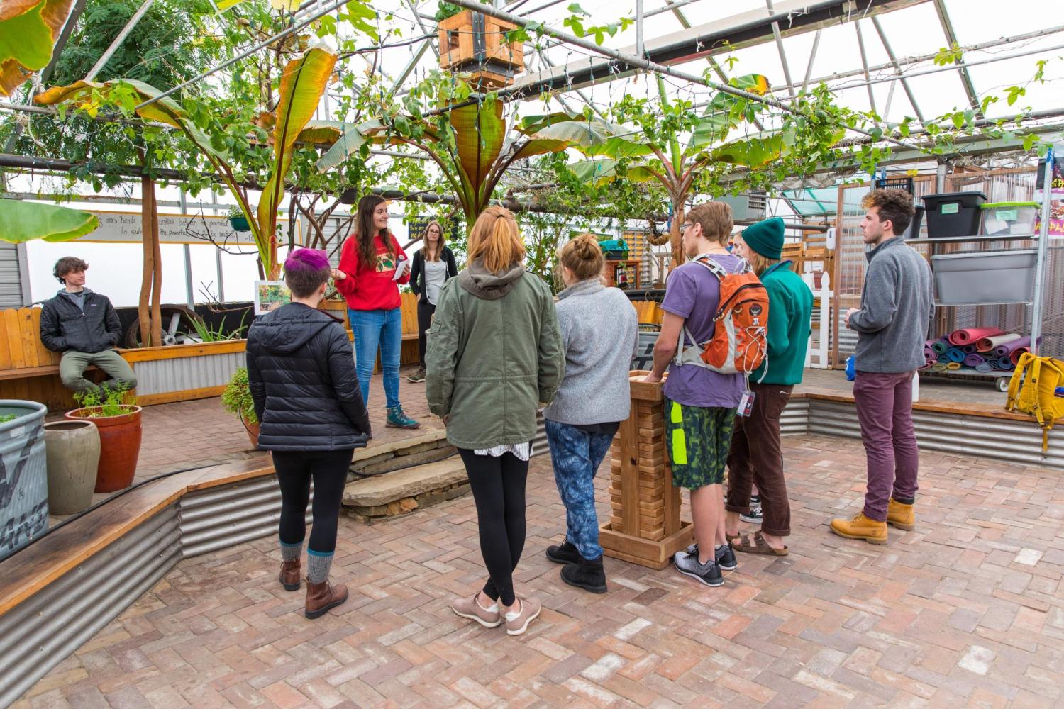 Student Eco Rep gives a tour of a greenhouse on the CU Boulder campus