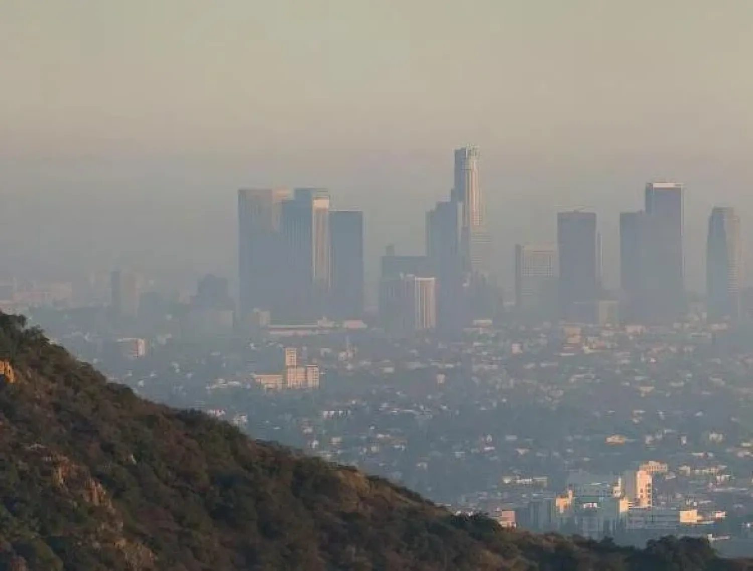 L.A. smog