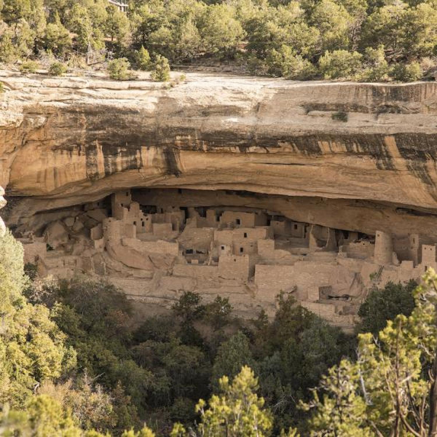 Mesa Verde picture