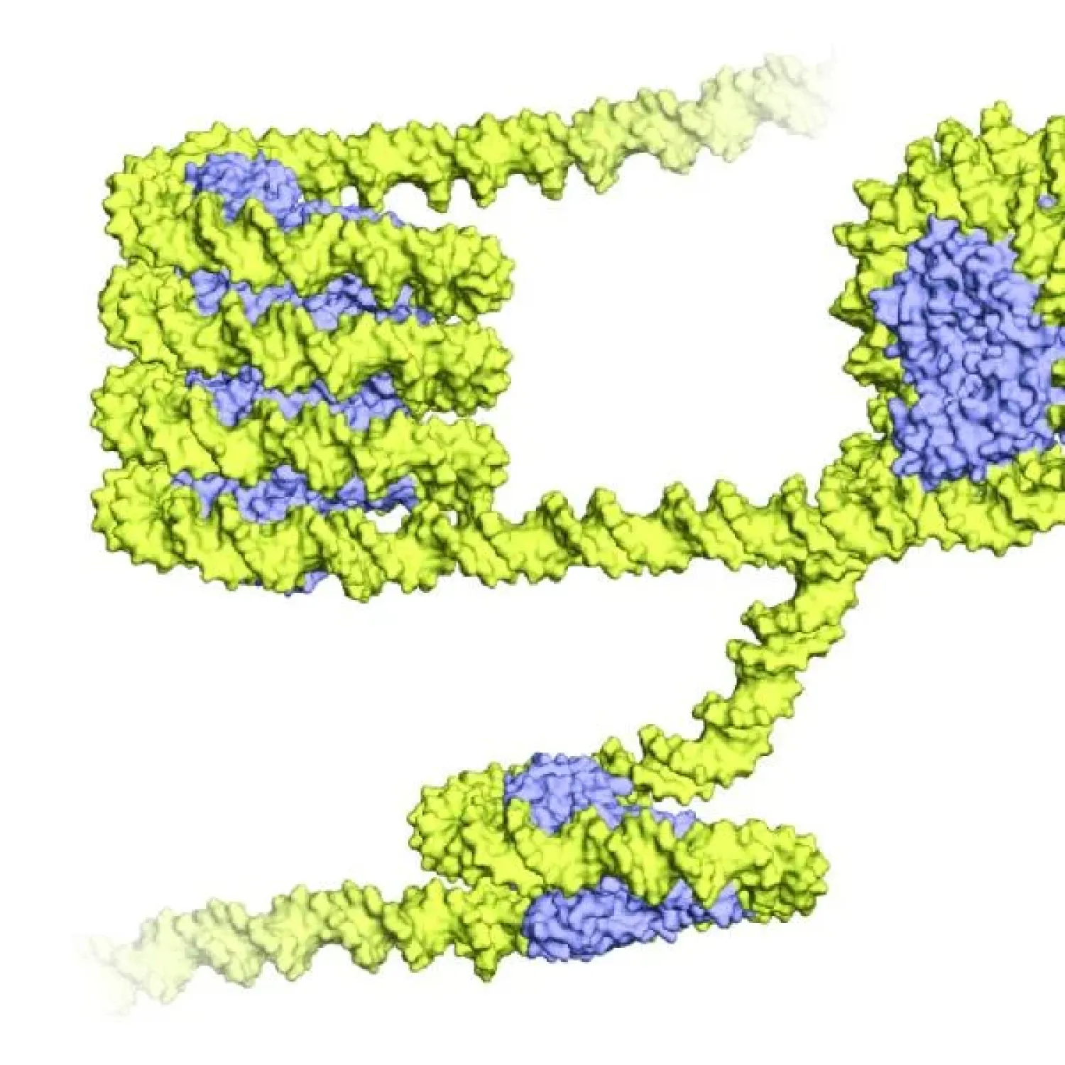 DNA picture