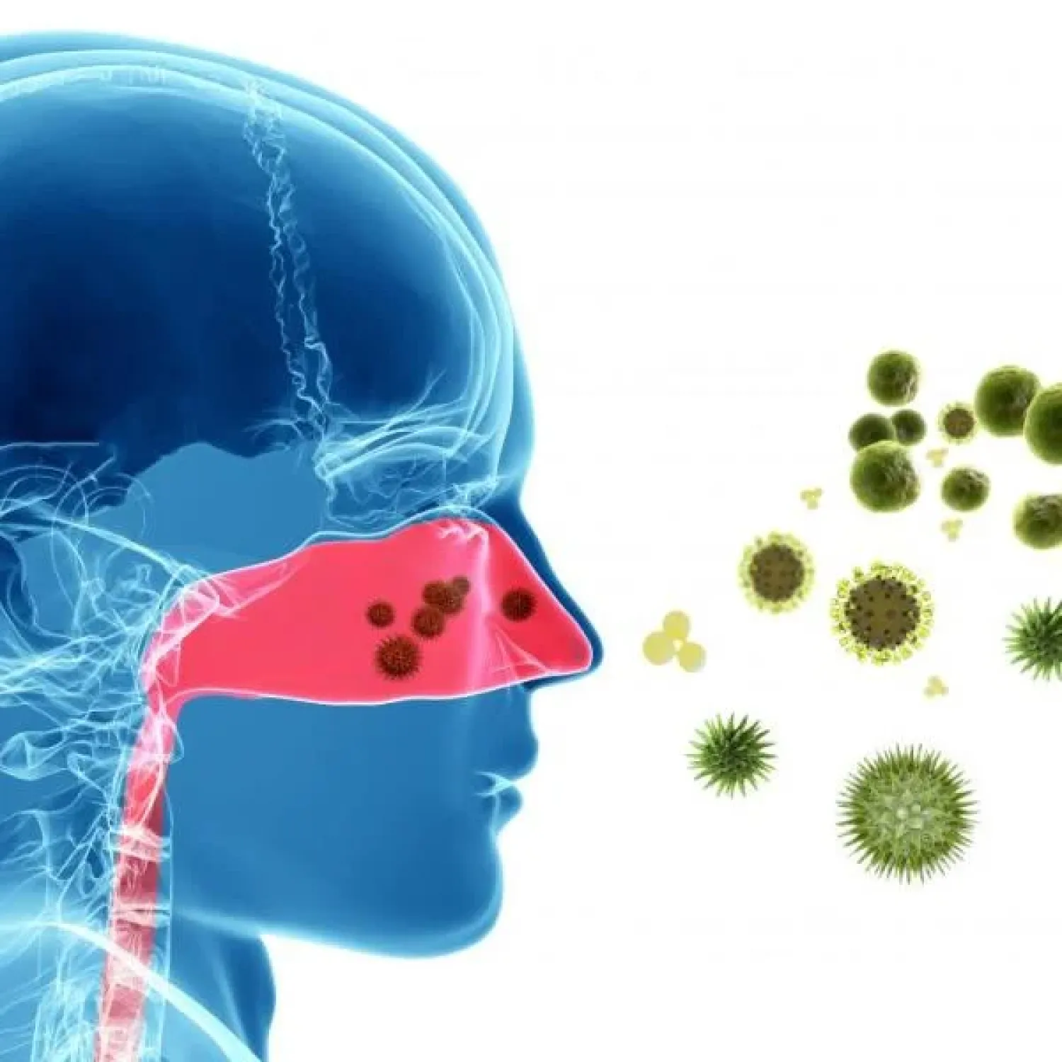 Germs picture